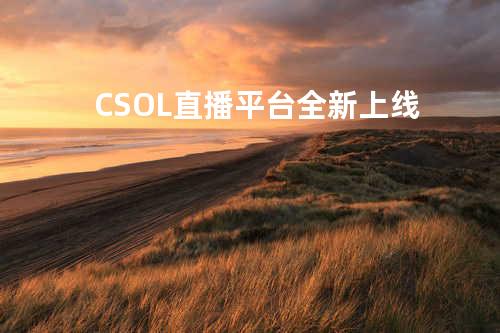 CSOL直播平台全新上线