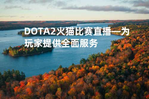 DOTA2火猫比赛直播—为玩家提供全面服务