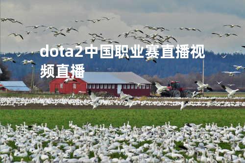 dota2中国职业赛直播视频直播